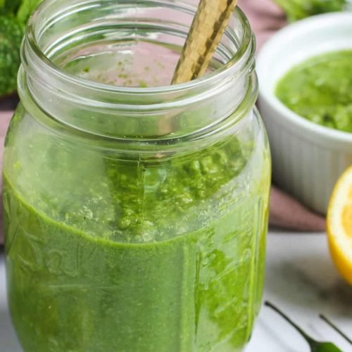 cilantro-mint-chutney-7